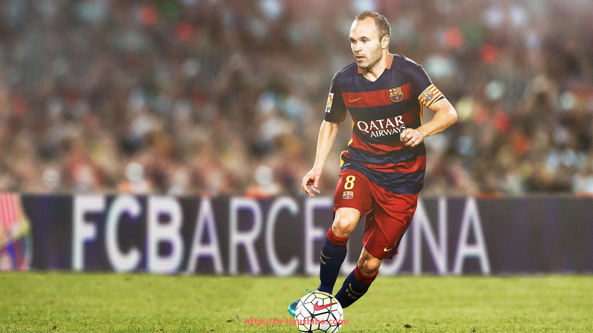 体育直播-健身器材厂家与器械分类详解，如何选择高性价比产品