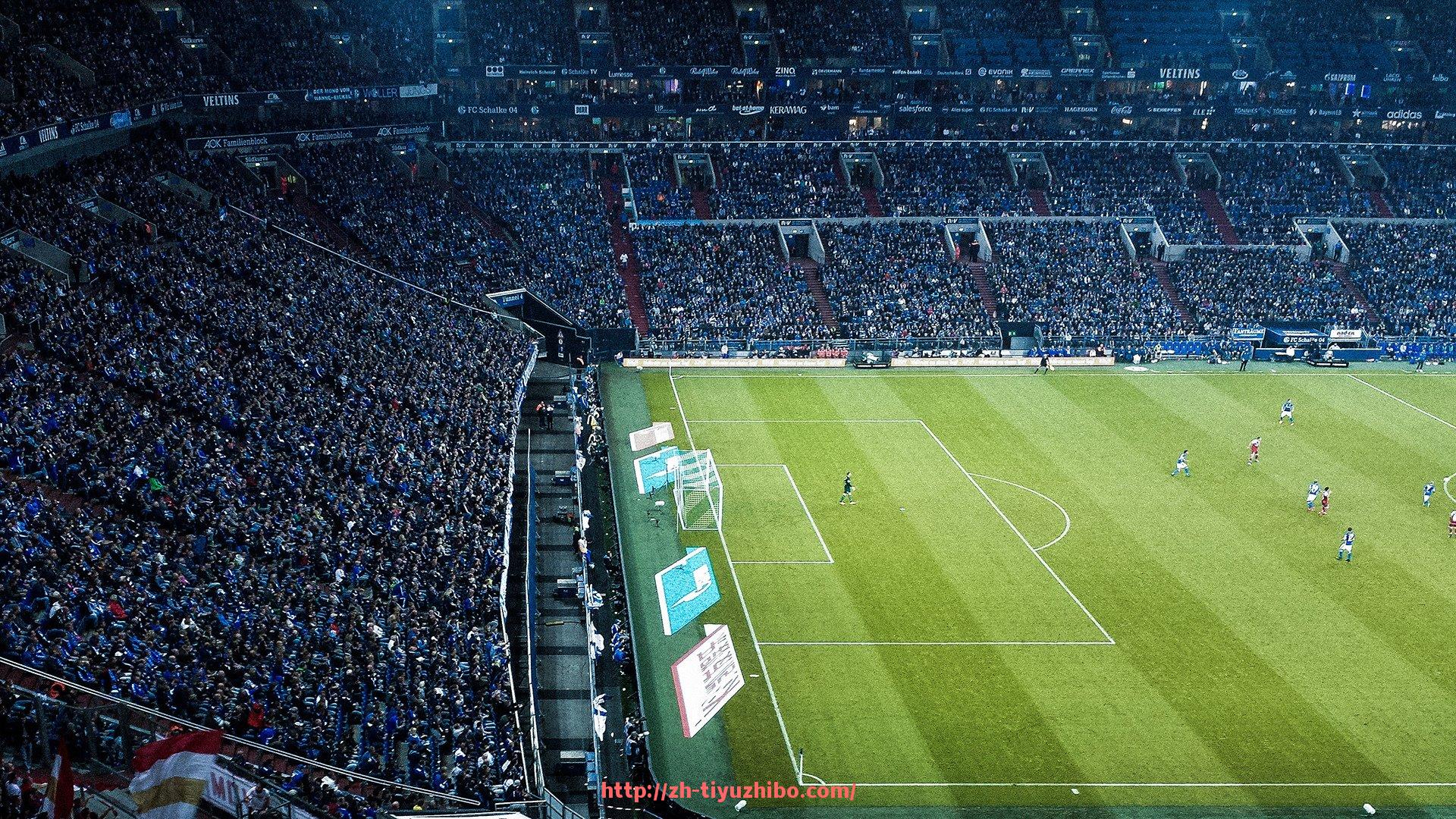 体育直播-世俱杯球衣销售市场现状与未来增长趋势分析