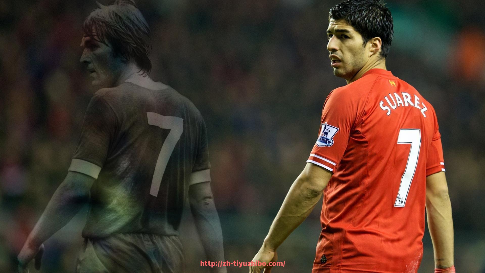 体育直播-世俱杯球鞋踝部保护结构分布与防护效果分析